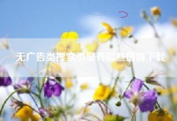 无广告类搜索引擎有哪些值得下载
