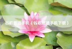 谷歌眼镜手机（谷歌眼镜手机下载）