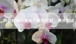 为你的亚马逊账户保驾护航：两步验证