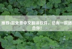 推荐4款免费中文翻译软件，总有一款适合你！