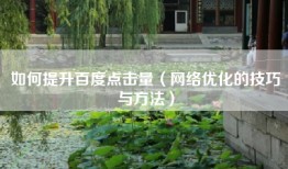 如何提升百度点击量（网络优化的技巧与方法）