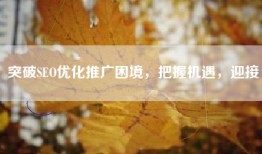 突破SEO优化推广困境，把握机遇，迎接