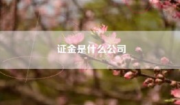 证金是什么公司