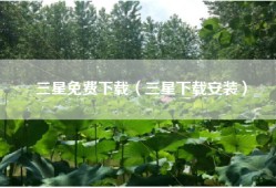 三星免费下载（三星下载安装）