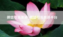 微信引流渠道_微信引流渠道平台
