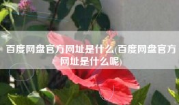 百度网盘官方网址是什么(百度网盘官方网址是什么呢)