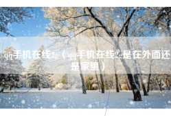 qq手机在线2g（qq手机在线2g是在外面还是家里）