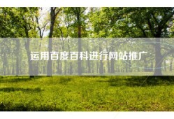 运用百度百科进行网站推广
