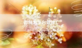 如何为平台做推广