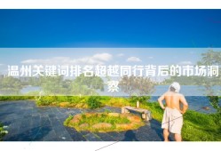 温州关键词排名超越同行背后的市场洞察