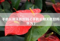 手机长期关机好吗（手机长期关机好吗华为）