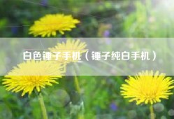白色锤子手机（锤子纯白手机）