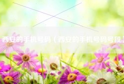 西安的手机号码（西安的手机号码号段）