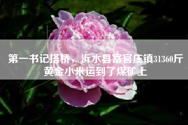 第一书记搭桥，沂水县富官庄镇31360斤黄金小米运到了煤矿上