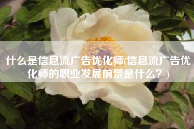 什么是信息流广告优化师(信息流广告优化师的职业发展前景是什么？)