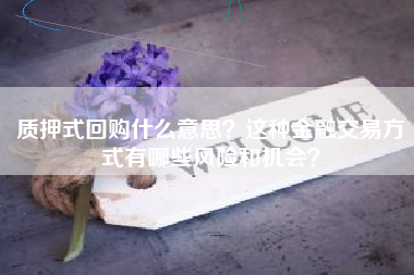 质押式回购什么意思？这种金融交易方式有哪些风险和机会？