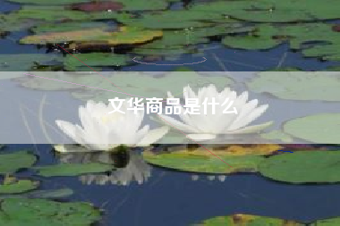 文华商品是什么
