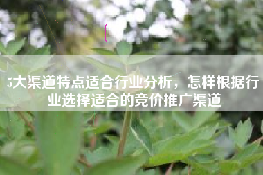 5大渠道特点适合行业分析，怎样根据行业选择适合的竞价推广渠道