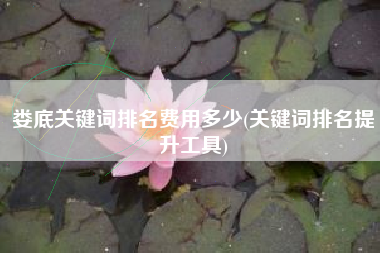 娄底关键词排名费用多少(关键词排名提升工具)