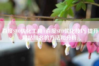 百度SEO优化工具 (百度SEO优化技巧 提升网站排名的方法和分析)