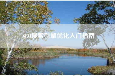 SEO搜索引擎优化入门指南