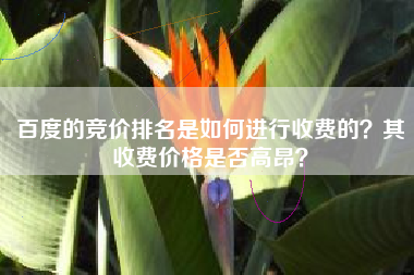 百度的竞价排名是如何进行收费的？其收费价格是否高昂？