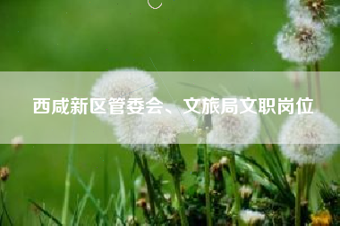西咸新区管委会、文旅局文职岗位