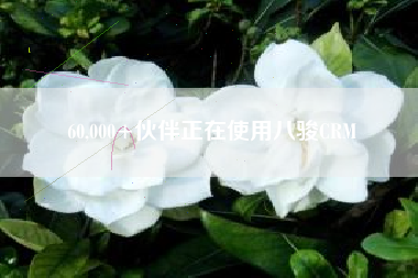 60,000+伙伴正在使用八骏CRM