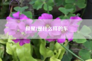 极星1是什么样的车 极星1是什么样的车