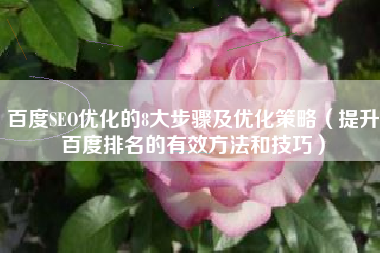 百度SEO优化的8大步骤及优化策略（提升百度排名的有效方法和技巧）