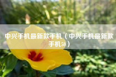 中兴手机最新款手机（中兴手机最新款手机50）