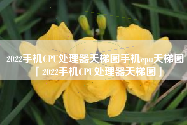 2022手机CPU处理器天梯图手机cpu天梯图「2022手机CPU处理器天梯图」