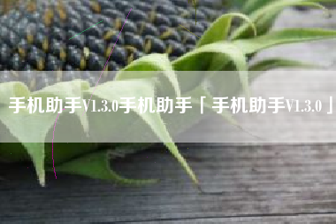 手机助手V1.3.0手机助手「手机助手V1.3.0」