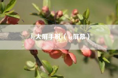 4g大屏手机（4g屏幕）