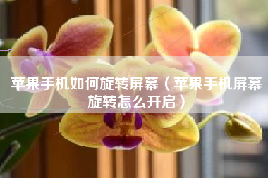 苹果手机如何旋转屏幕（苹果手机屏幕旋转怎么开启）