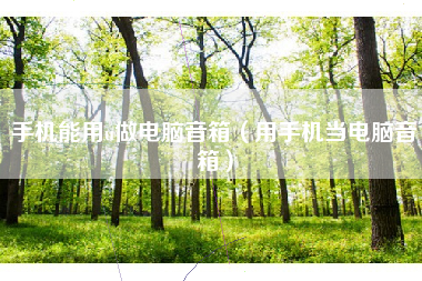 手机能用u做电脑音箱（用手机当电脑音箱）