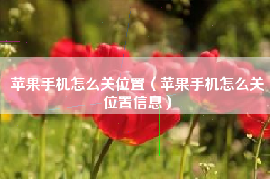 苹果手机怎么关位置（苹果手机怎么关位置信息）
