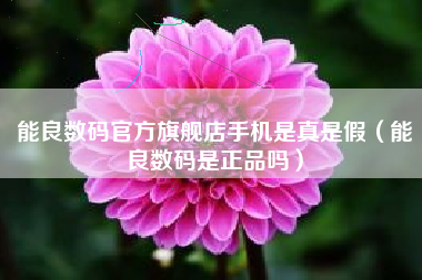 能良数码官方旗舰店手机是真是假（能良数码是正品吗）