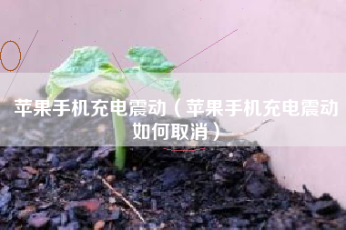 苹果手机充电震动（苹果手机充电震动如何取消）