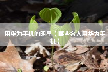 用华为手机的明星（哪些名人用华为手机）
