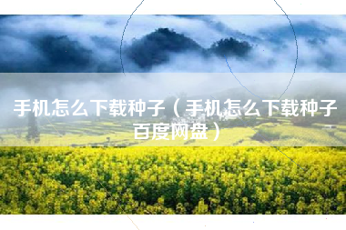 手机怎么下载种子（手机怎么下载种子百度网盘）