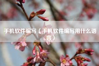 手机软件编写（手机软件编写用什么语言）
