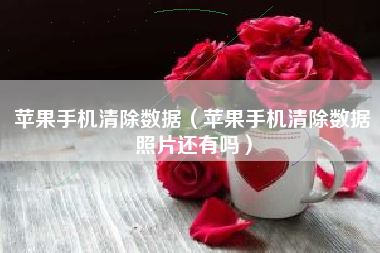 苹果手机清除数据（苹果手机清除数据照片还有吗）