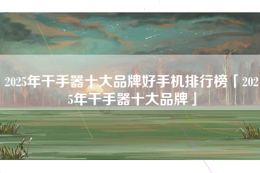 2025年干手器十大品牌好手机排行榜「2025年干手器十大品牌」