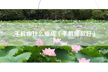 手机由什么组成（手机哪款好）