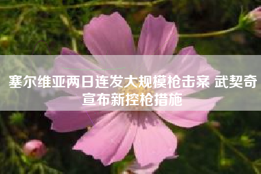 塞尔维亚两日连发大规模枪击案 武契奇宣布新控枪措施