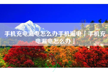 手机充电漏电怎么办手机漏电「手机充电漏电怎么办」