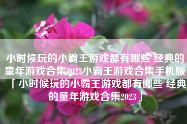 小时候玩的小霸王游戏都有哪些 经典的童年游戏合集2023小霸王游戏合集手机版「小时候玩的小霸王游戏都有哪些 经典的童年游戏合集2023」